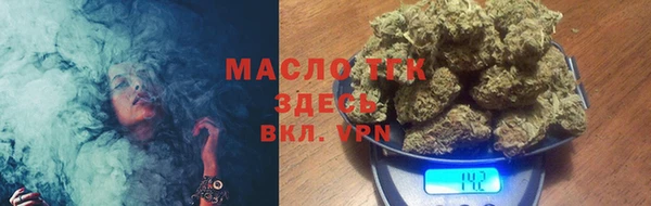 сатива Чегем