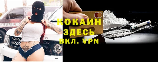сатива Чегем