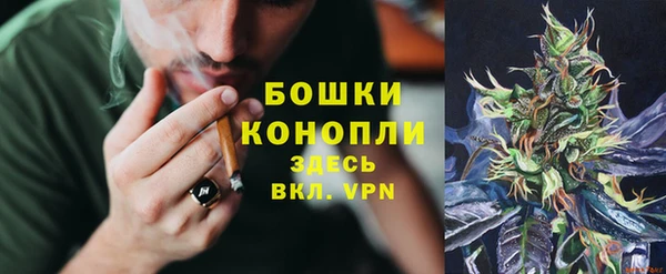 сатива Чегем