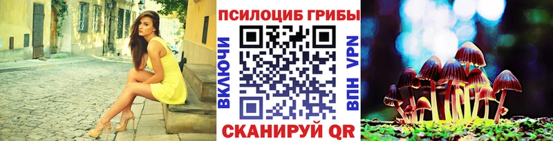 как найти закладки Суровикино Псилоцибиновые грибы Psilocybe